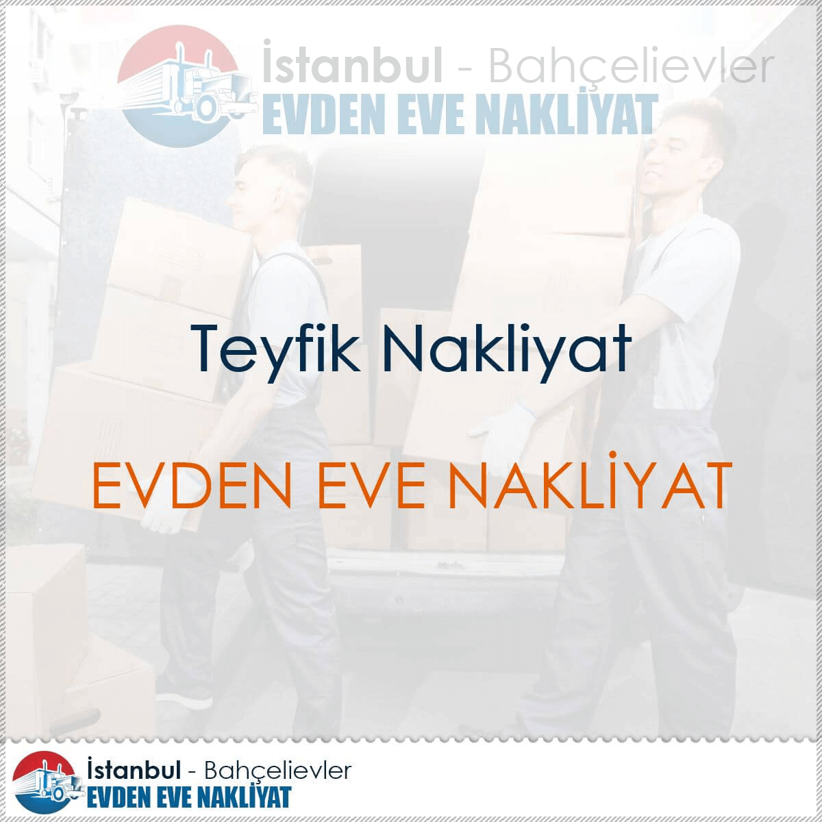 Teyfik Nakliyat : Kapak Görseli